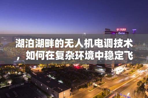 湖泊湖畔的无人机电调技术，如何在复杂环境中稳定飞行？