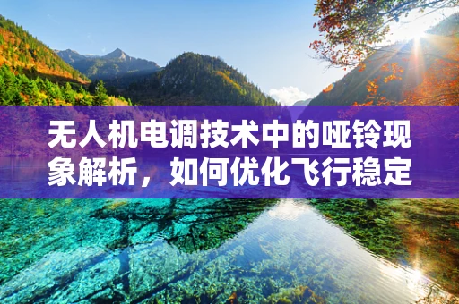 无人机电调技术中的哑铃现象解析，如何优化飞行稳定性？