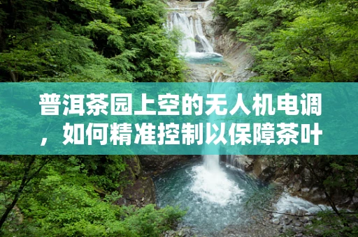 普洱茶园上空的无人机电调，如何精准控制以保障茶叶品质？