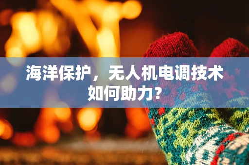 海洋保护，无人机电调技术如何助力？