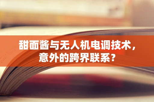 甜面酱与无人机电调技术，意外的跨界联系？