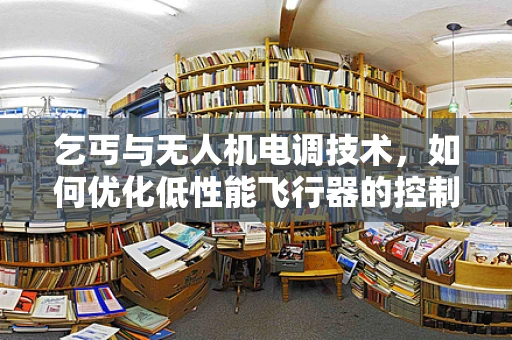 乞丐与无人机电调技术，如何优化低性能飞行器的控制策略？