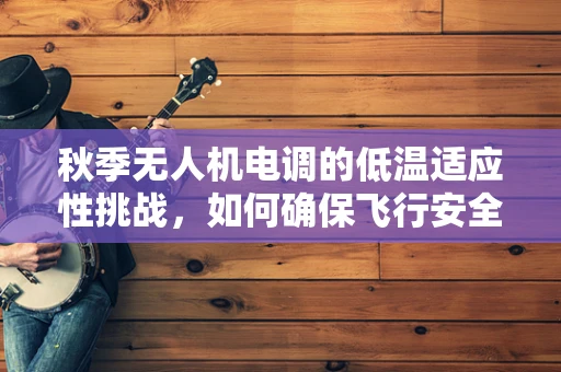 秋季无人机电调的低温适应性挑战，如何确保飞行安全与性能稳定？