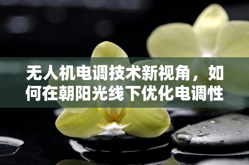 无人机电调技术新视角，如何在朝阳光线下优化电调性能？