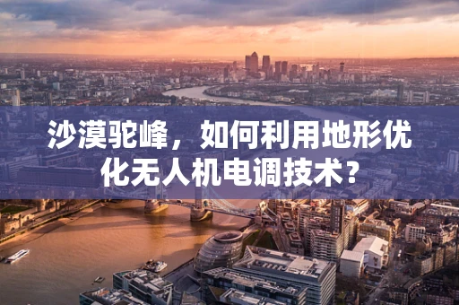 沙漠驼峰，如何利用地形优化无人机电调技术？