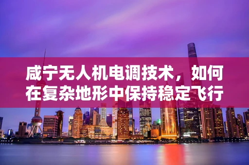 咸宁无人机电调技术，如何在复杂地形中保持稳定飞行？