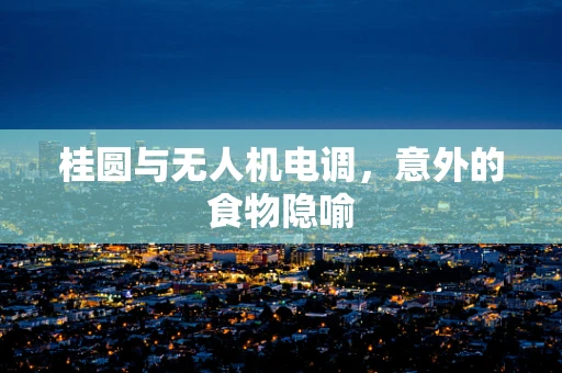 桂圆与无人机电调，意外的食物隐喻