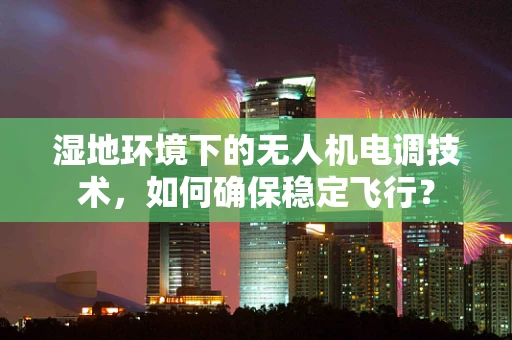 湿地环境下的无人机电调技术，如何确保稳定飞行？