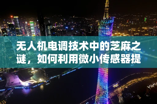 无人机电调技术中的芝麻之谜，如何利用微小传感器提升飞行稳定性？