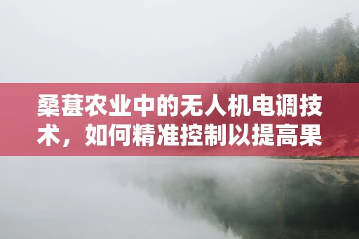 桑葚农业中的无人机电调技术，如何精准控制以提高果实品质？