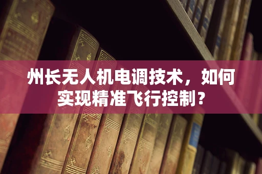 州长无人机电调技术，如何实现精准飞行控制？