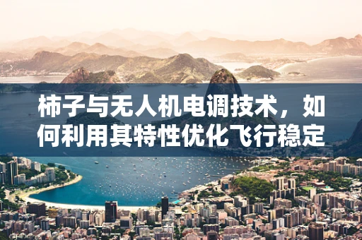 柿子与无人机电调技术，如何利用其特性优化飞行稳定性？