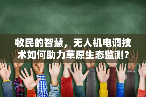 牧民的智慧，无人机电调技术如何助力草原生态监测？