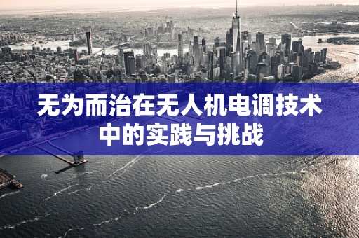 无为而治在无人机电调技术中的实践与挑战