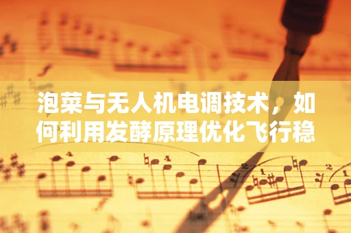 泡菜与无人机电调技术，如何利用发酵原理优化飞行稳定性？