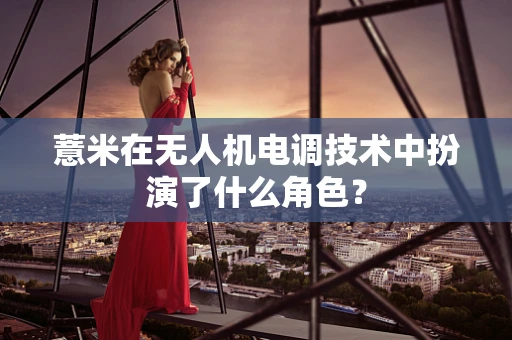 薏米在无人机电调技术中扮演了什么角色？