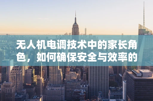无人机电调技术中的家长角色，如何确保安全与效率的平衡？