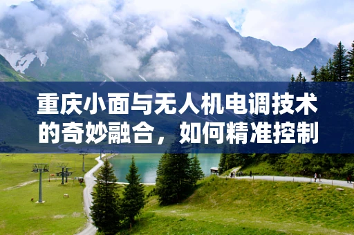 重庆小面与无人机电调技术的奇妙融合，如何精准控制热力？