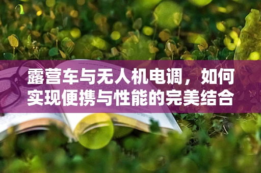 露营车与无人机电调，如何实现便携与性能的完美结合？