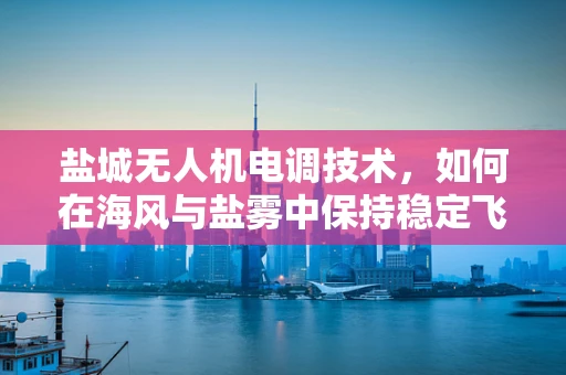 盐城无人机电调技术，如何在海风与盐雾中保持稳定飞行？