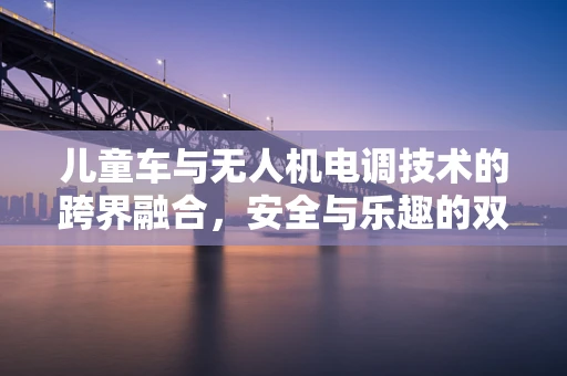 儿童车与无人机电调技术的跨界融合，安全与乐趣的双重考量