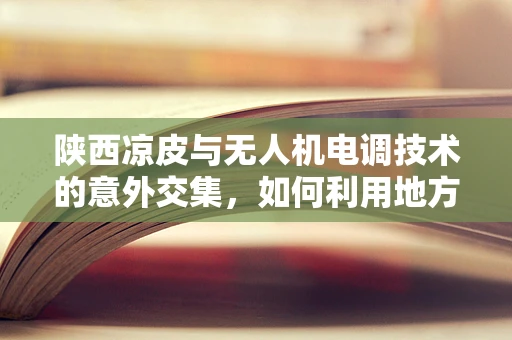 陕西凉皮与无人机电调技术的意外交集，如何利用地方特色美食灵感优化飞行稳定性？