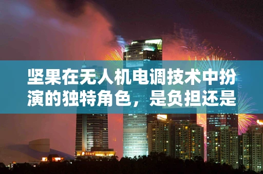 坚果在无人机电调技术中扮演的独特角色，是负担还是助力？