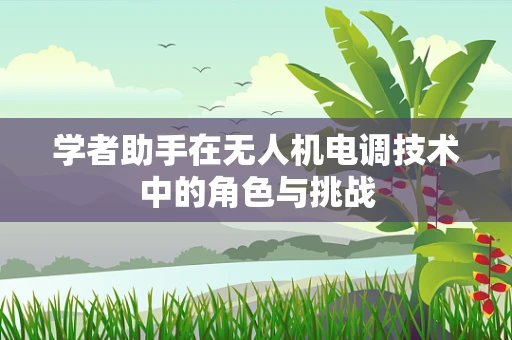 学者助手在无人机电调技术中的角色与挑战