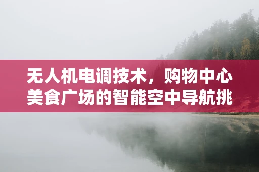 无人机电调技术，购物中心美食广场的智能空中导航挑战