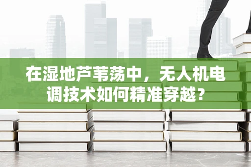 在湿地芦苇荡中，无人机电调技术如何精准穿越？