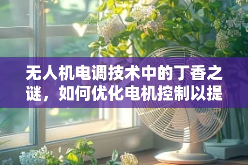 无人机电调技术中的丁香之谜，如何优化电机控制以提升飞行稳定性？