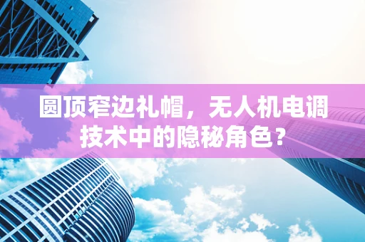 圆顶窄边礼帽，无人机电调技术中的隐秘角色？