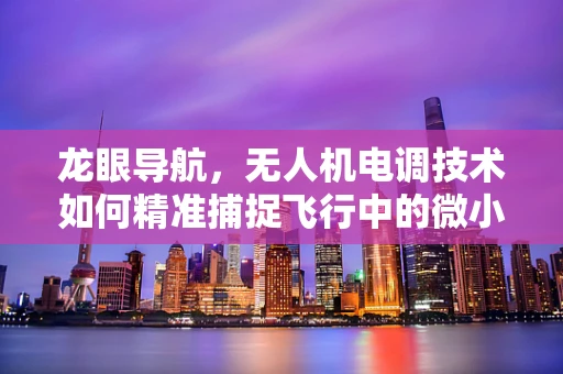 龙眼导航，无人机电调技术如何精准捕捉飞行中的微小偏差？