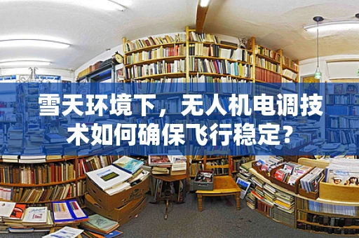 雪天环境下，无人机电调技术如何确保飞行稳定？