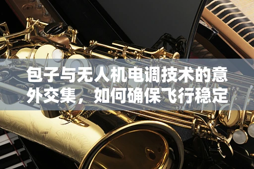 包子与无人机电调技术的意外交集，如何确保飞行稳定？