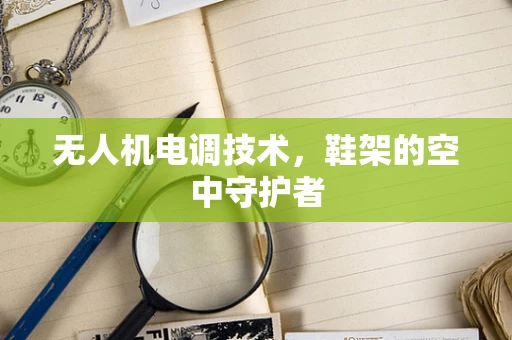 无人机电调技术，鞋架的空中守护者