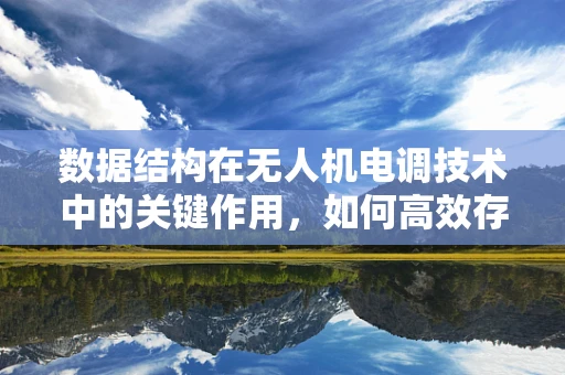 数据结构在无人机电调技术中的关键作用，如何高效存储与处理飞行数据？