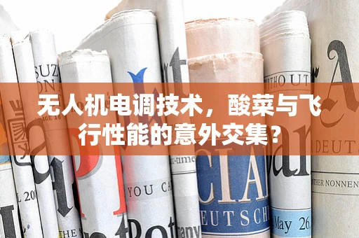 无人机电调技术，酸菜与飞行性能的意外交集？