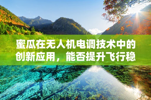 蜜瓜在无人机电调技术中的创新应用，能否提升飞行稳定性？