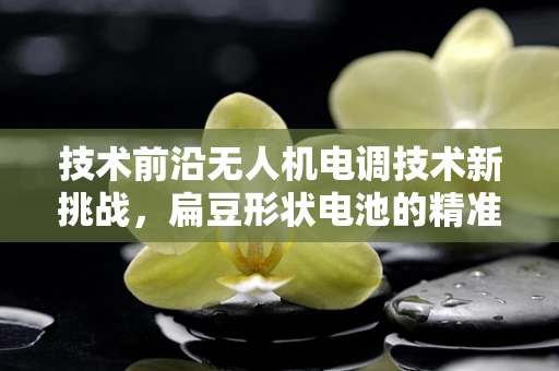 技术前沿无人机电调技术新挑战，扁豆形状电池的精准适配与效能优化