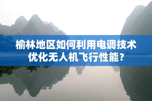 榆林地区如何利用电调技术优化无人机飞行性能？