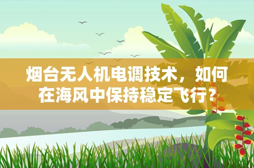 烟台无人机电调技术，如何在海风中保持稳定飞行？