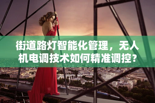 街道路灯智能化管理，无人机电调技术如何精准调控？