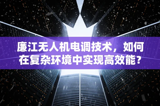 廉江无人机电调技术，如何在复杂环境中实现高效能？