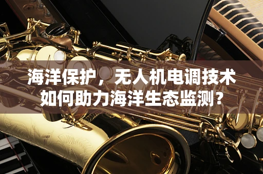海洋保护，无人机电调技术如何助力海洋生态监测？