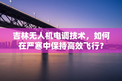吉林无人机电调技术，如何在严寒中保持高效飞行？