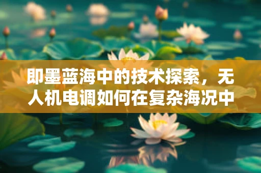 即墨蓝海中的技术探索，无人机电调如何在复杂海况中精准导航？