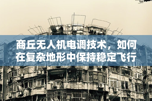 商丘无人机电调技术，如何在复杂地形中保持稳定飞行？