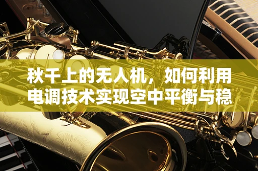 秋千上的无人机，如何利用电调技术实现空中平衡与稳定？