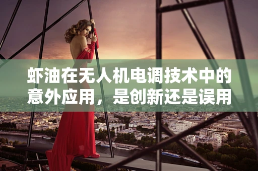 虾油在无人机电调技术中的意外应用，是创新还是误用？